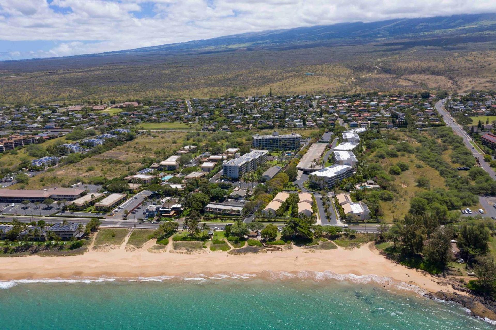 Aloha Kahakai photo 1