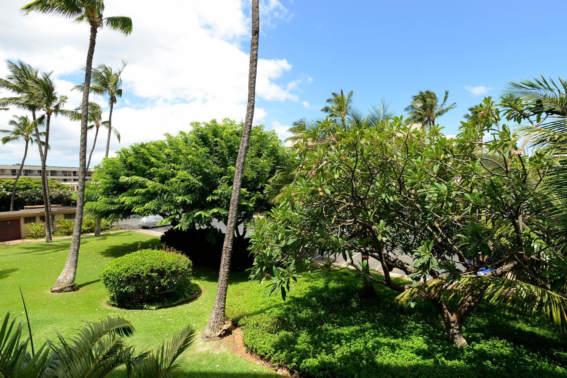 Aloha Kahakai photo 8