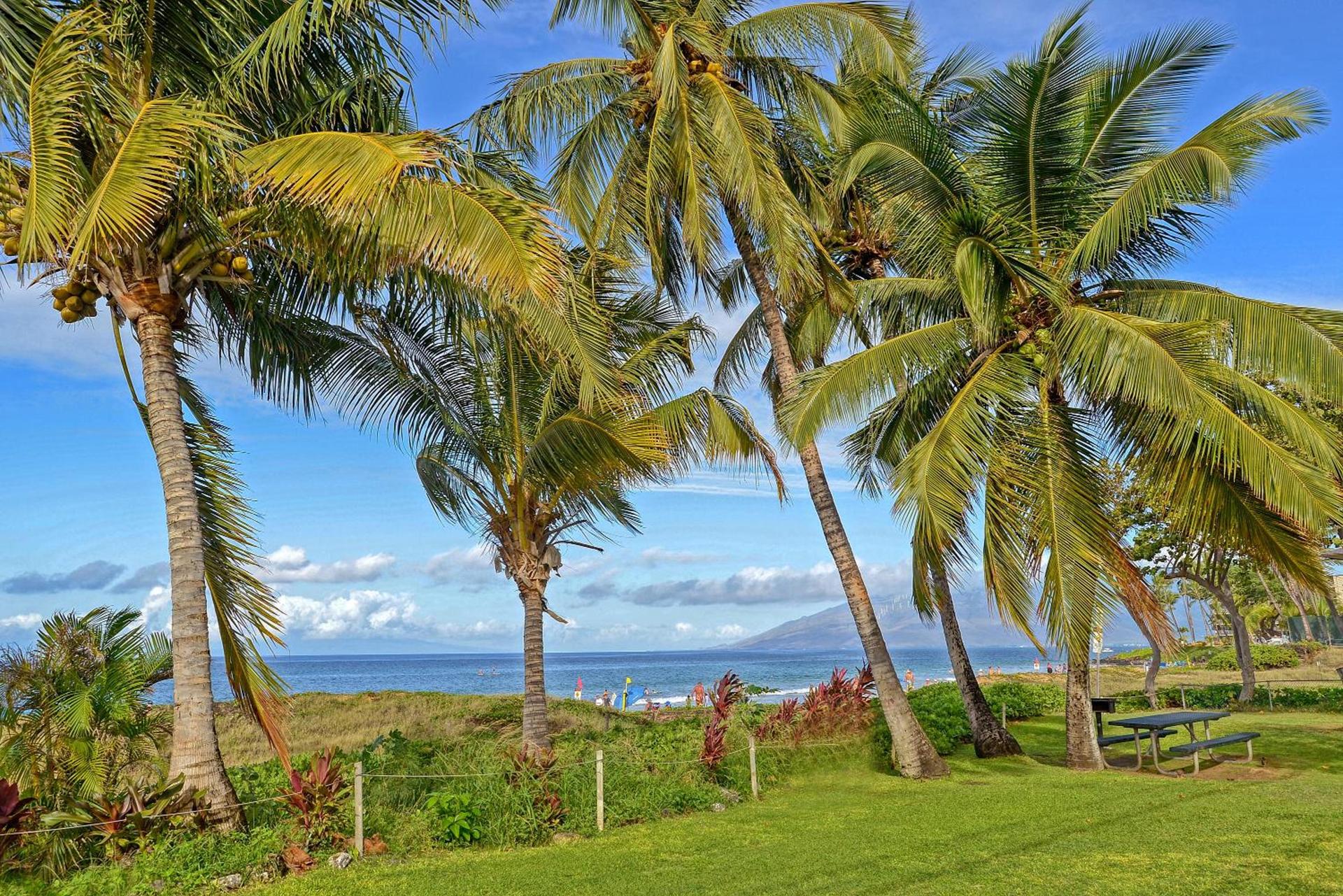 Aloha Kahakai photo 24