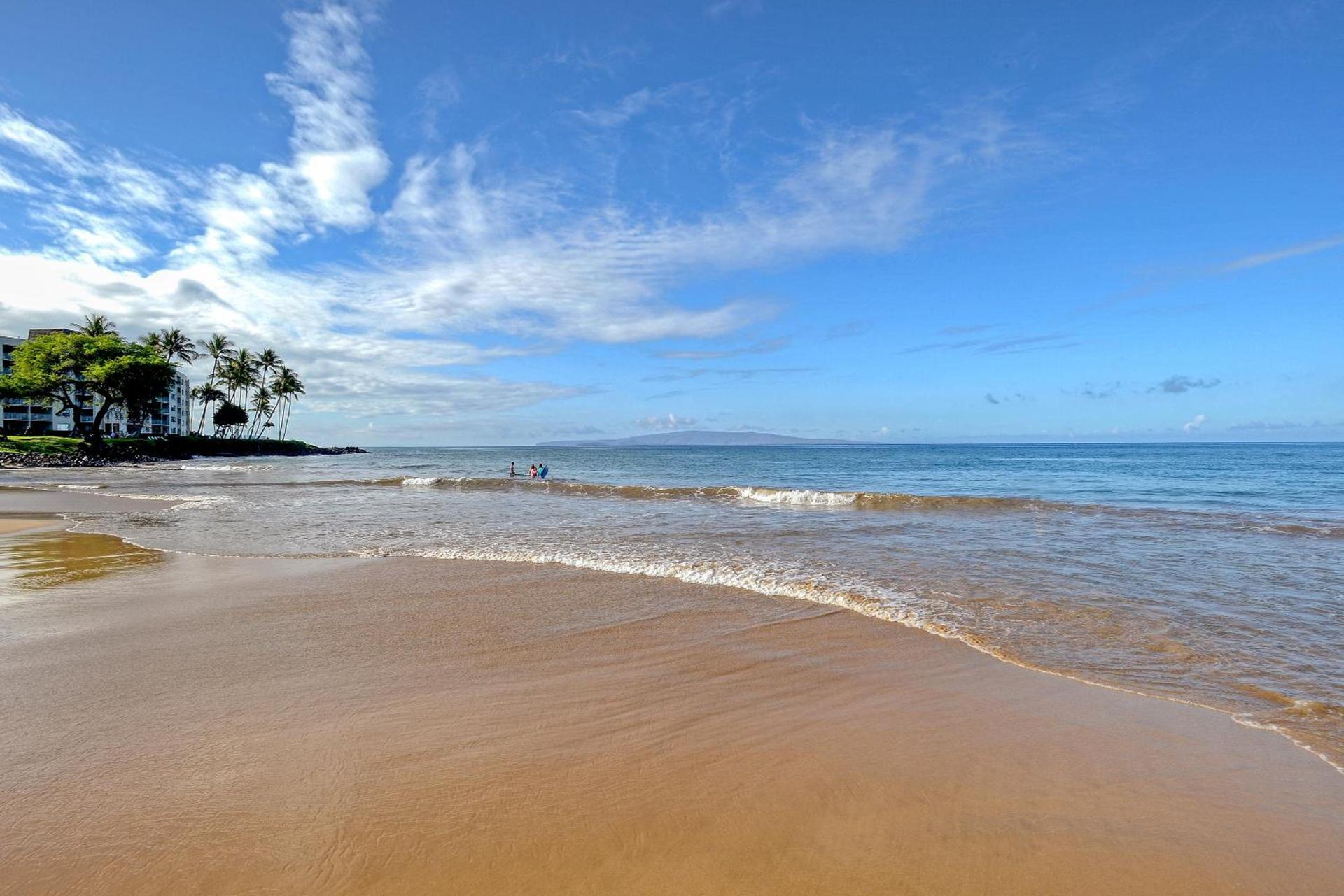 Aloha Kahakai photo 26
