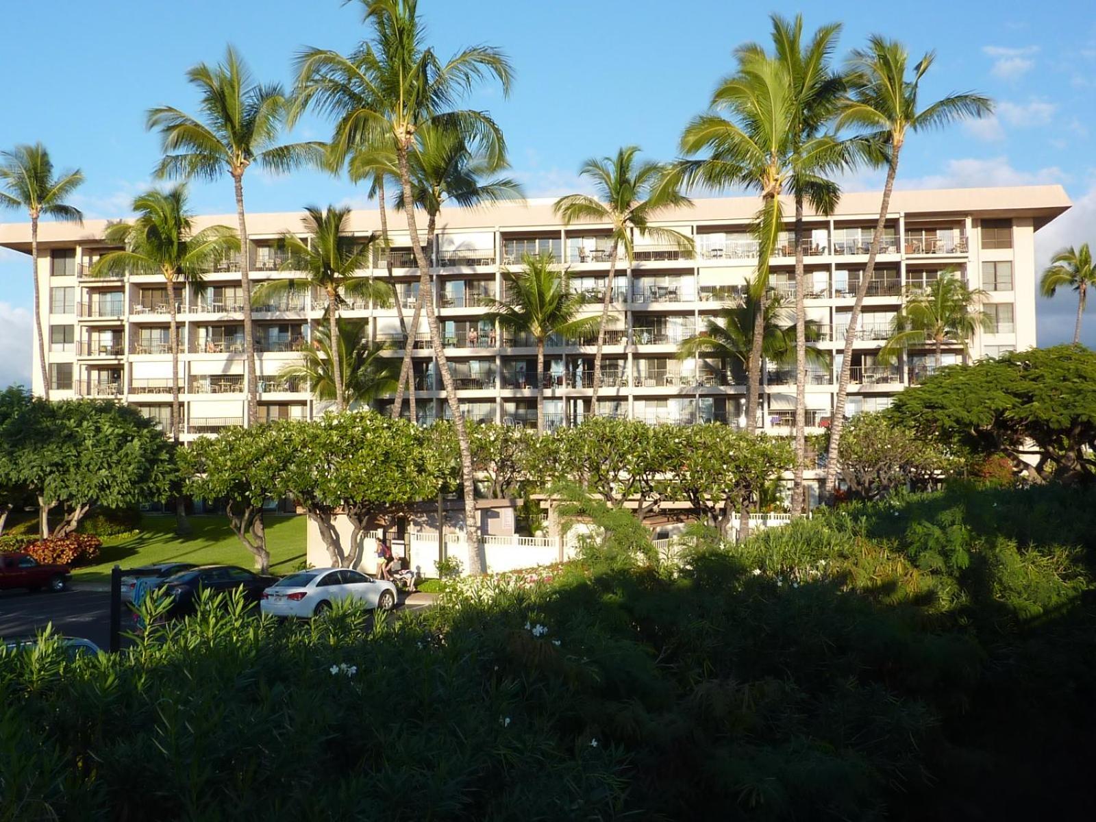 Aloha Kahakai photo 33