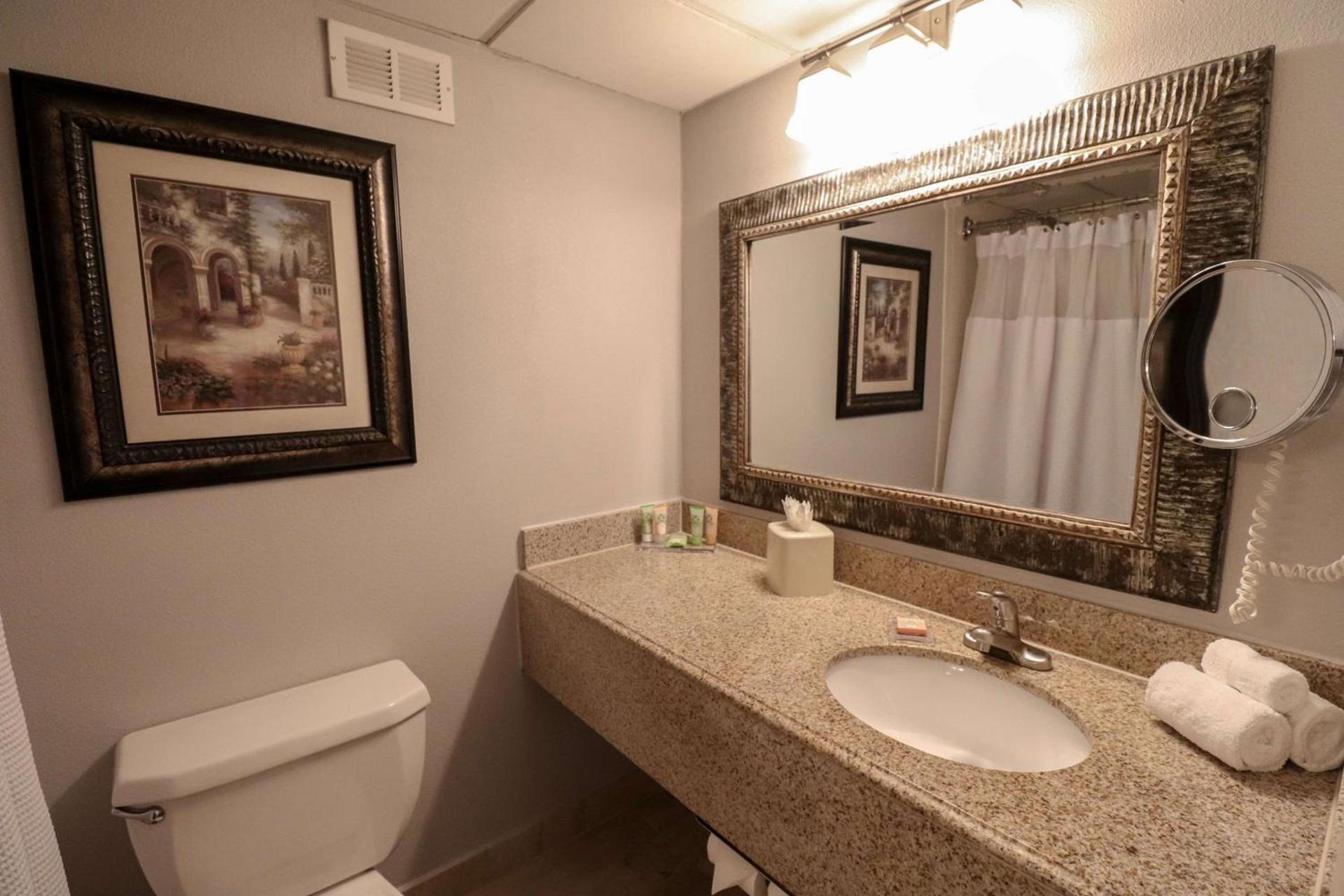Wyndham Houston near NRG Park - Medical Center photo 22