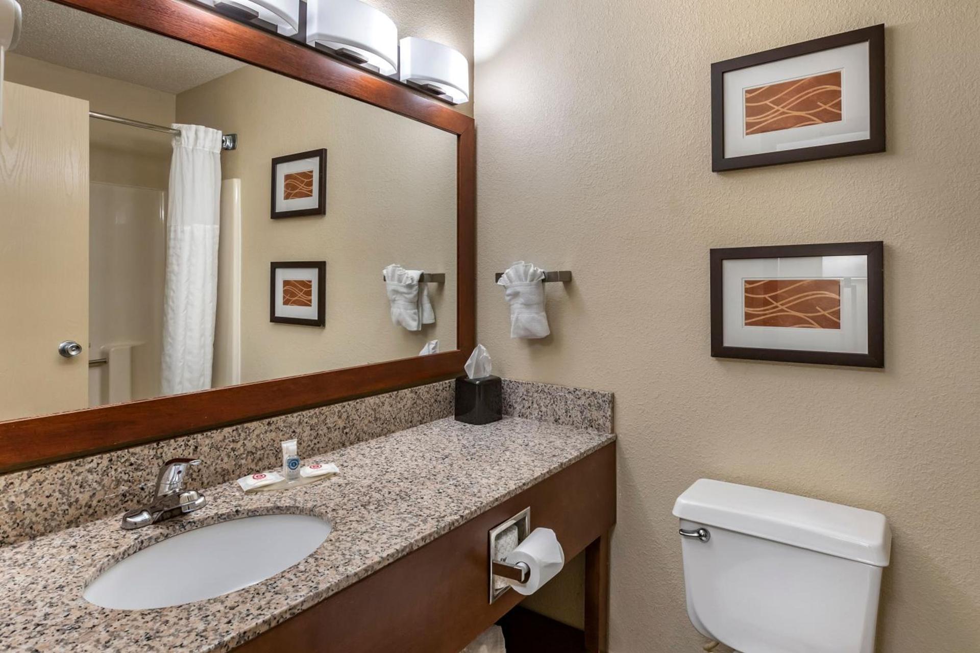 Comfort Inn Moline - Quad Cities photo 32