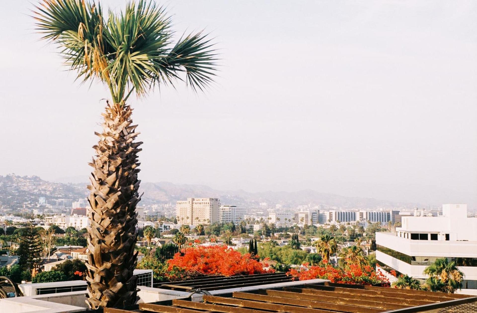 SIXTY Beverly Hills photo 22