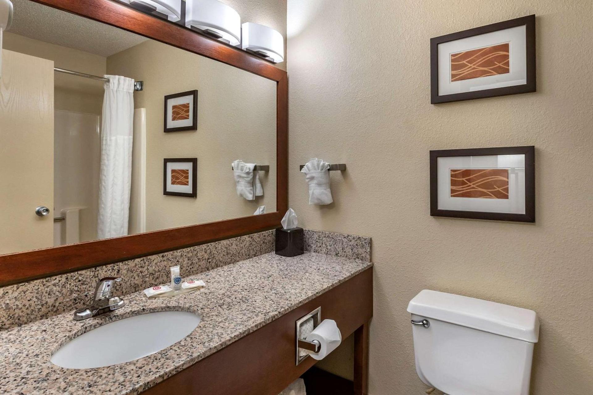Comfort Inn Moline - Quad Cities photo 15