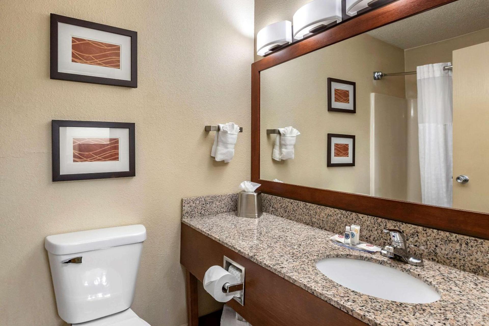 Comfort Inn Moline - Quad Cities photo 19