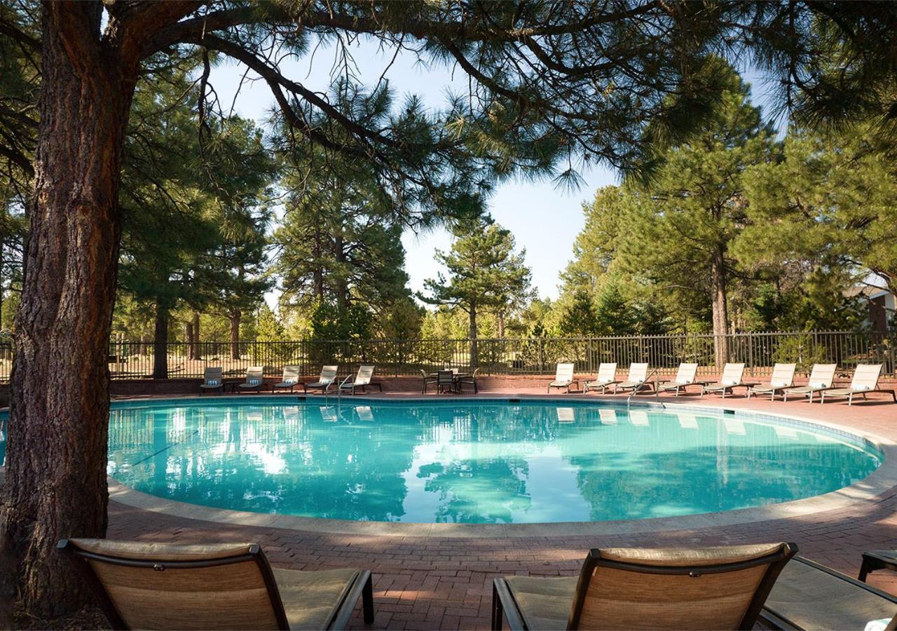 Little America Hotel Flagstaff photo 33