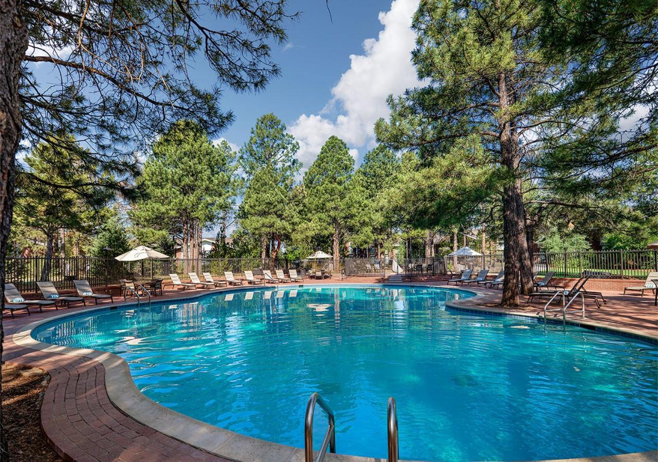 Little America Hotel Flagstaff photo 13