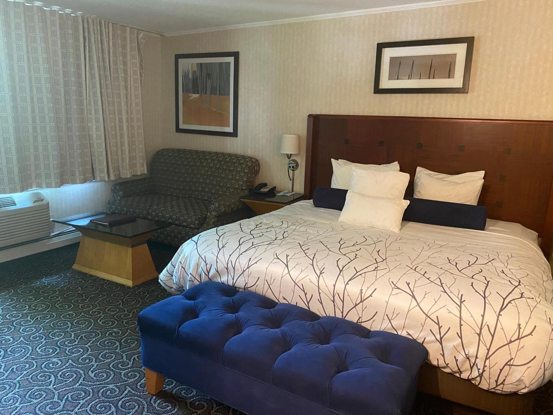 The Black Mountain Inn photo 8