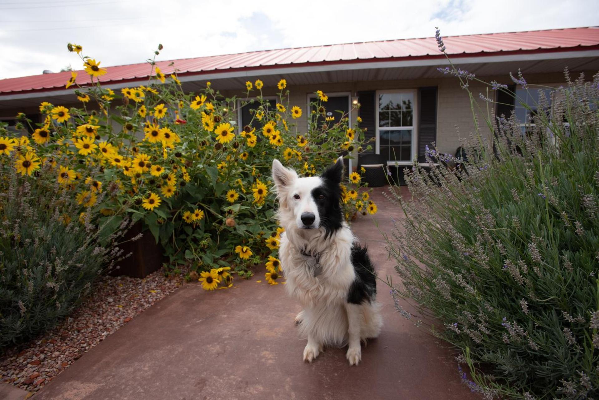 The Flagstone Boutique Inn & Suites photo 43