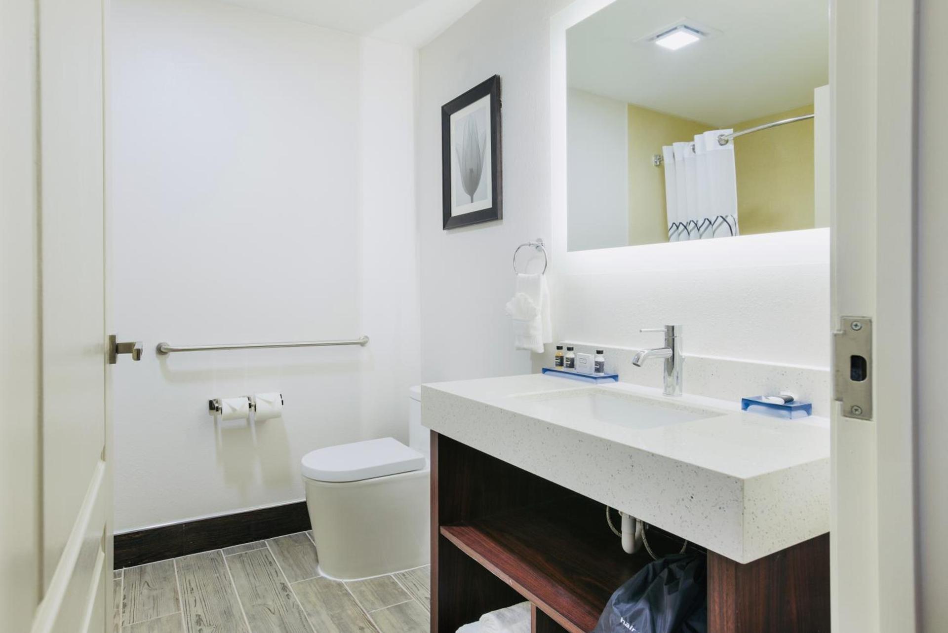 The Leo Collection Detroit, an Ascend Collection Hotel photo 79