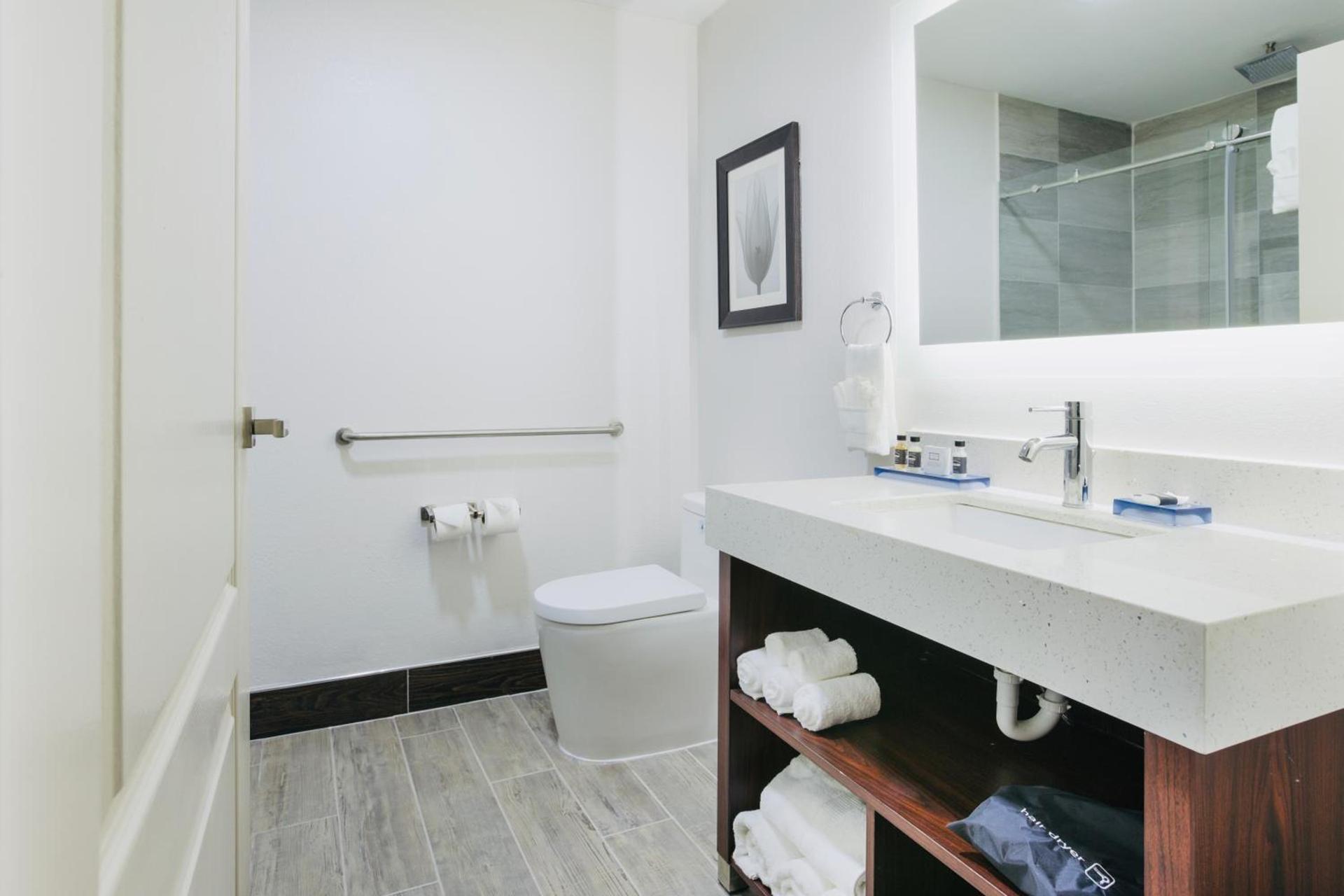 The Leo Collection Detroit, an Ascend Collection Hotel photo 76
