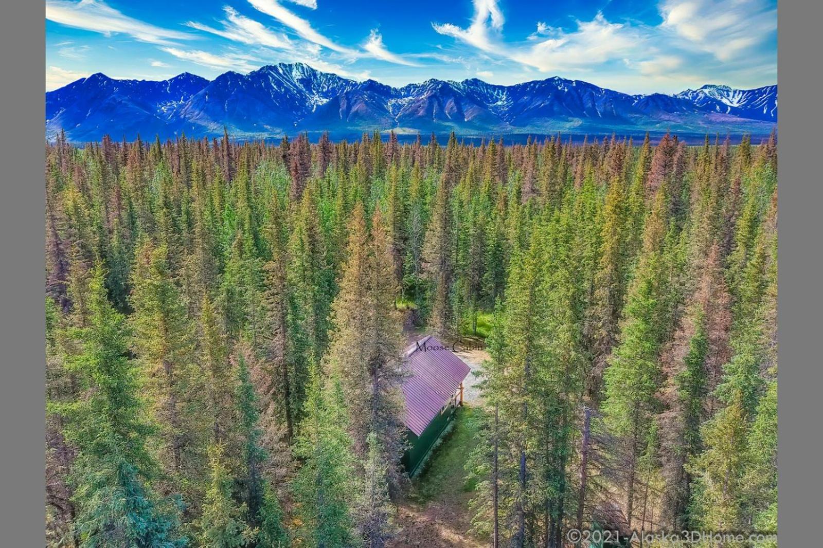 Backwoods Lodge photo 41