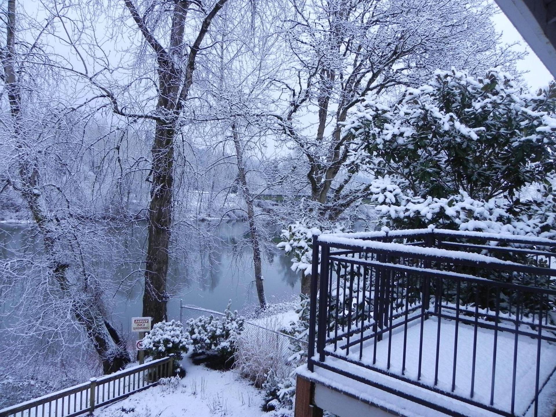 Lewis River Inn photo 10
