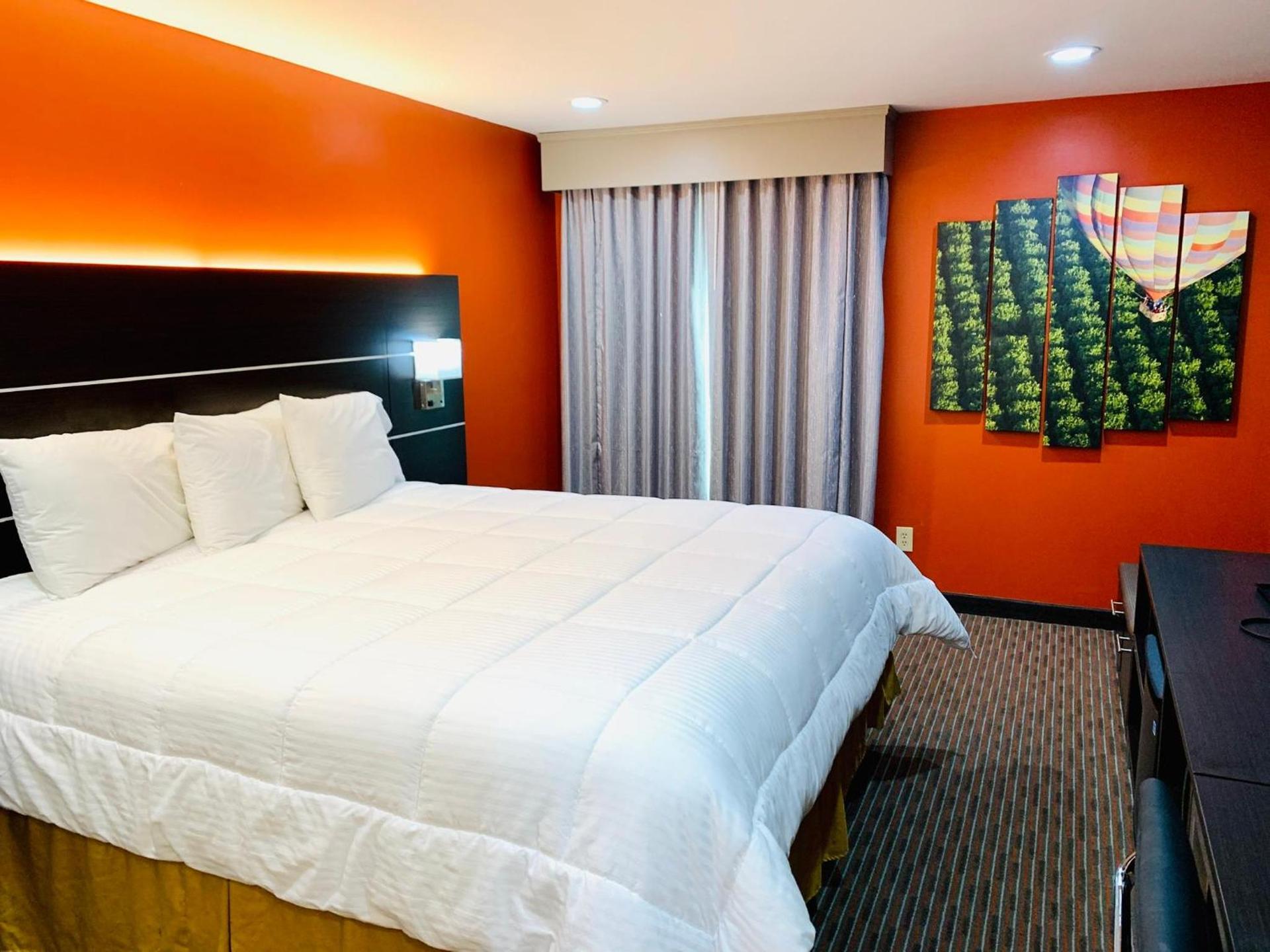 Hotel Vinea Healdsburg photo 5