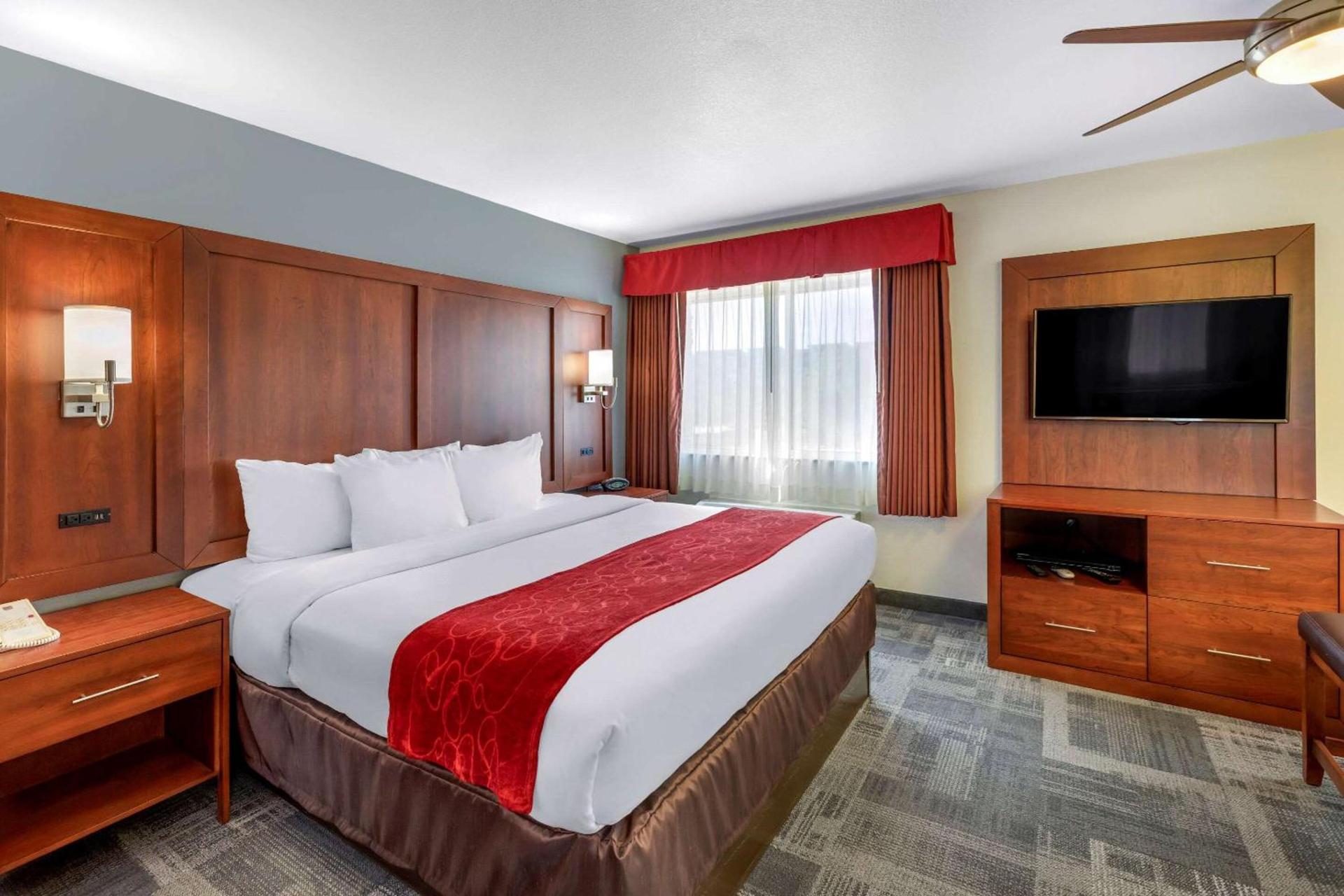Comfort Suites Denver Tech Center photo 8