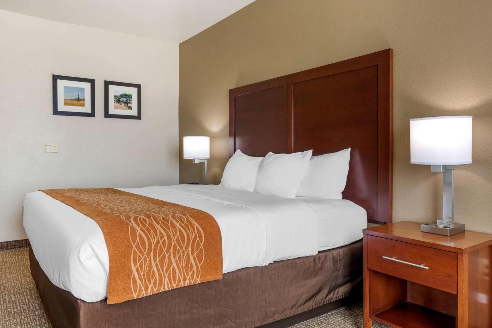 Comfort Inn Near UNT photo 10