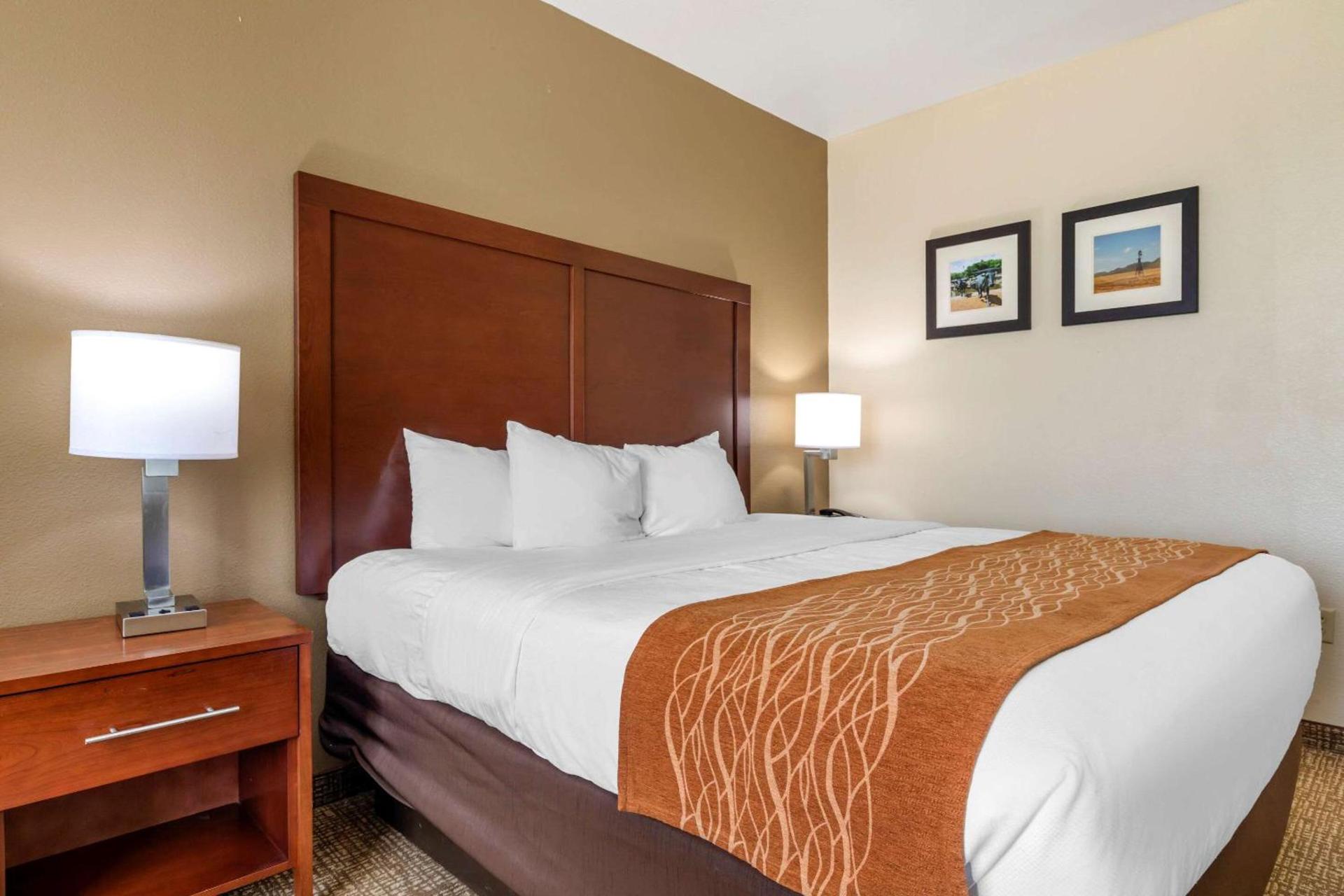 Comfort Inn Near UNT photo 14