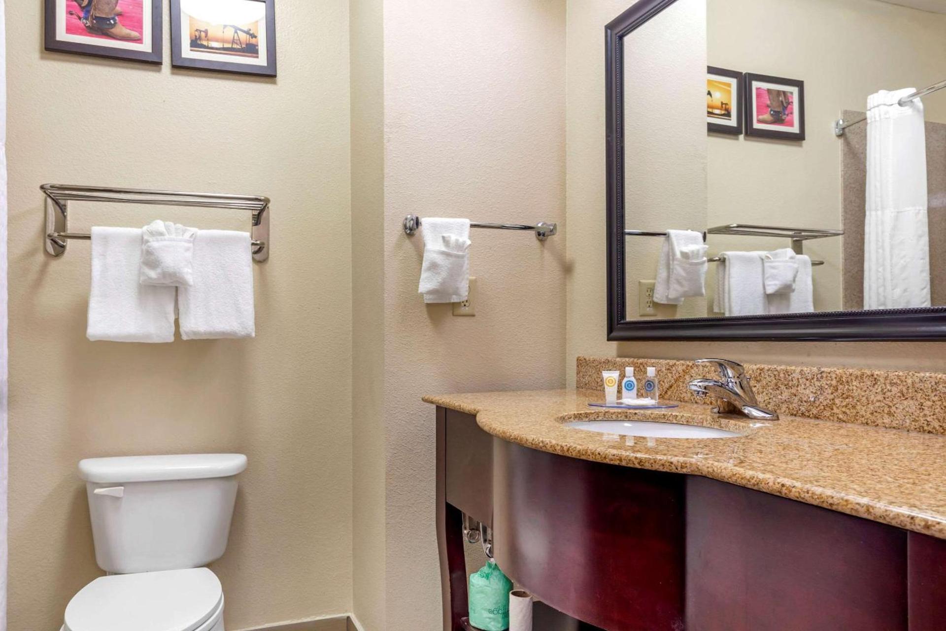 Comfort Inn Near UNT photo 15