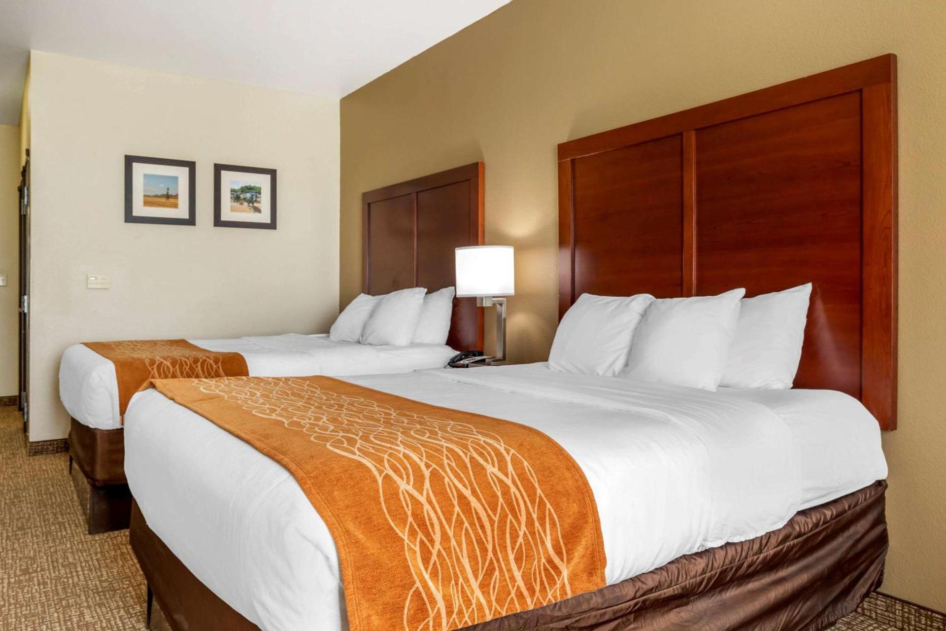 Comfort Inn Near UNT photo 19