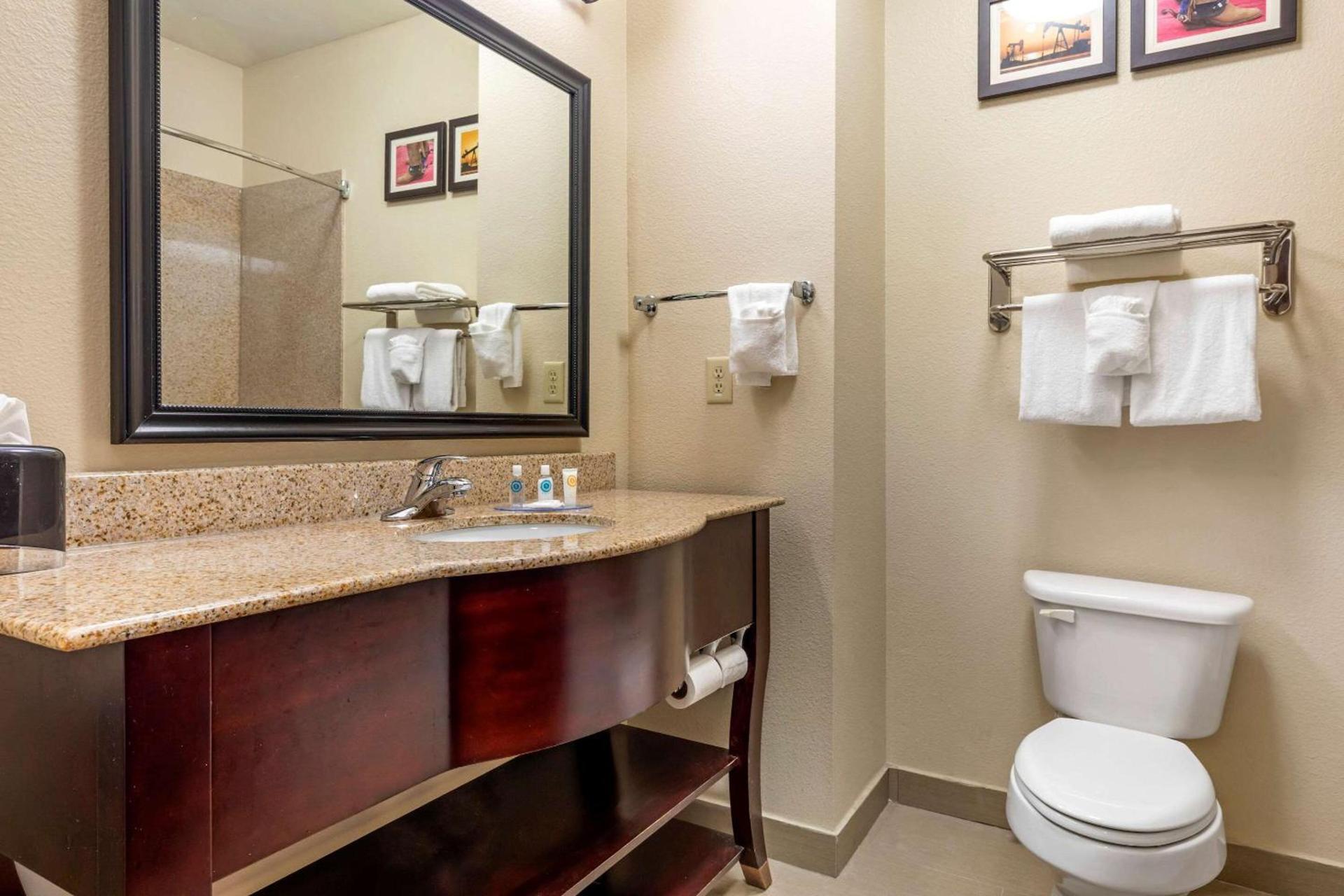 Comfort Inn Near UNT photo 22