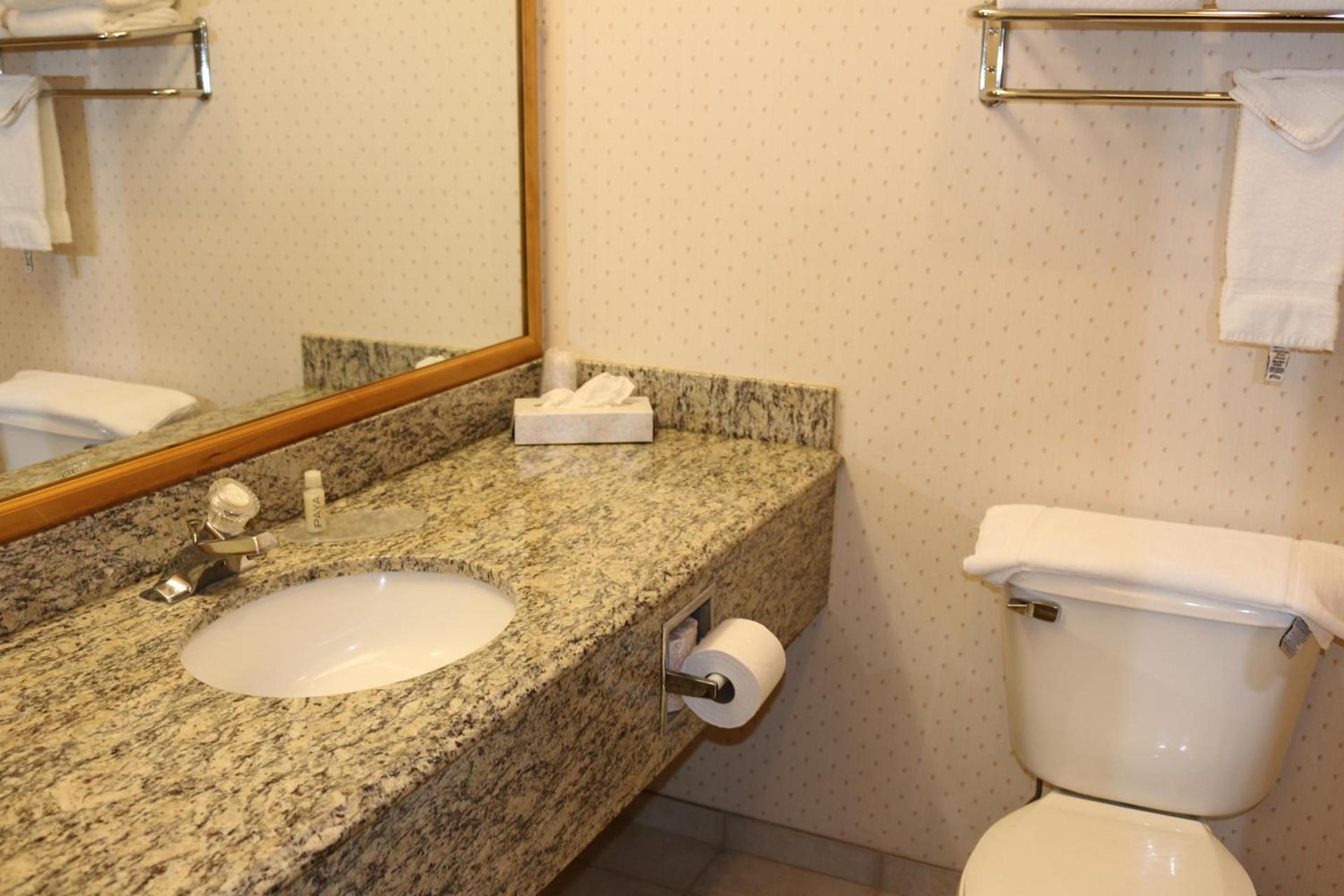 Gray Wolf Inn & Suites photo 31