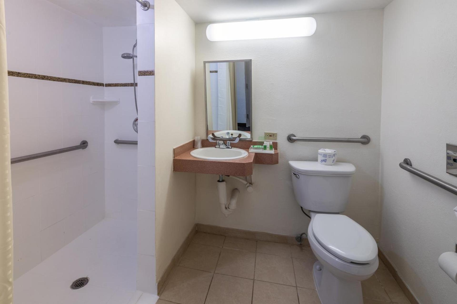 Holiday Inn Hotel Port of Miami-Downtown by IHG photo 51