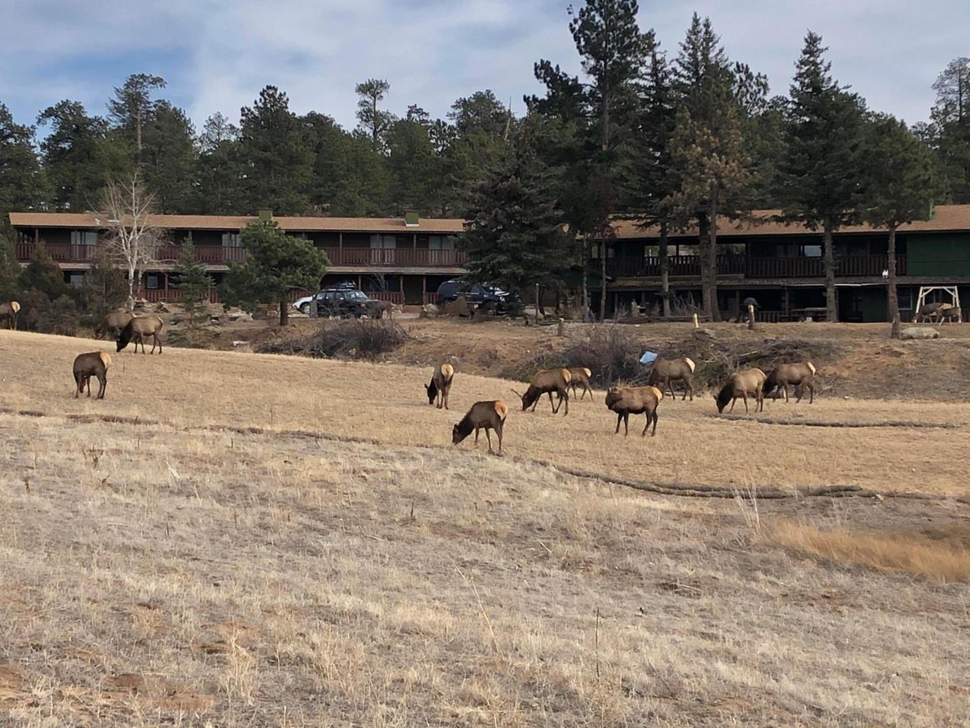 Estes Lake Lodge photo 42