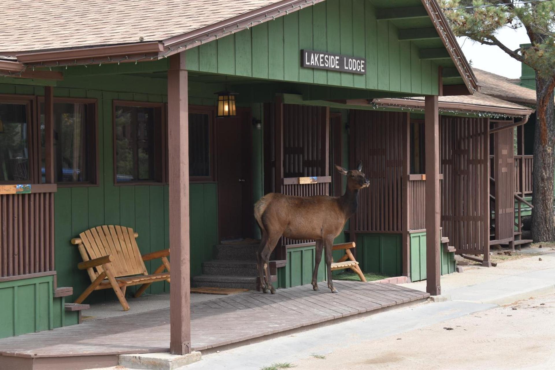 Estes Lake Lodge photo 51