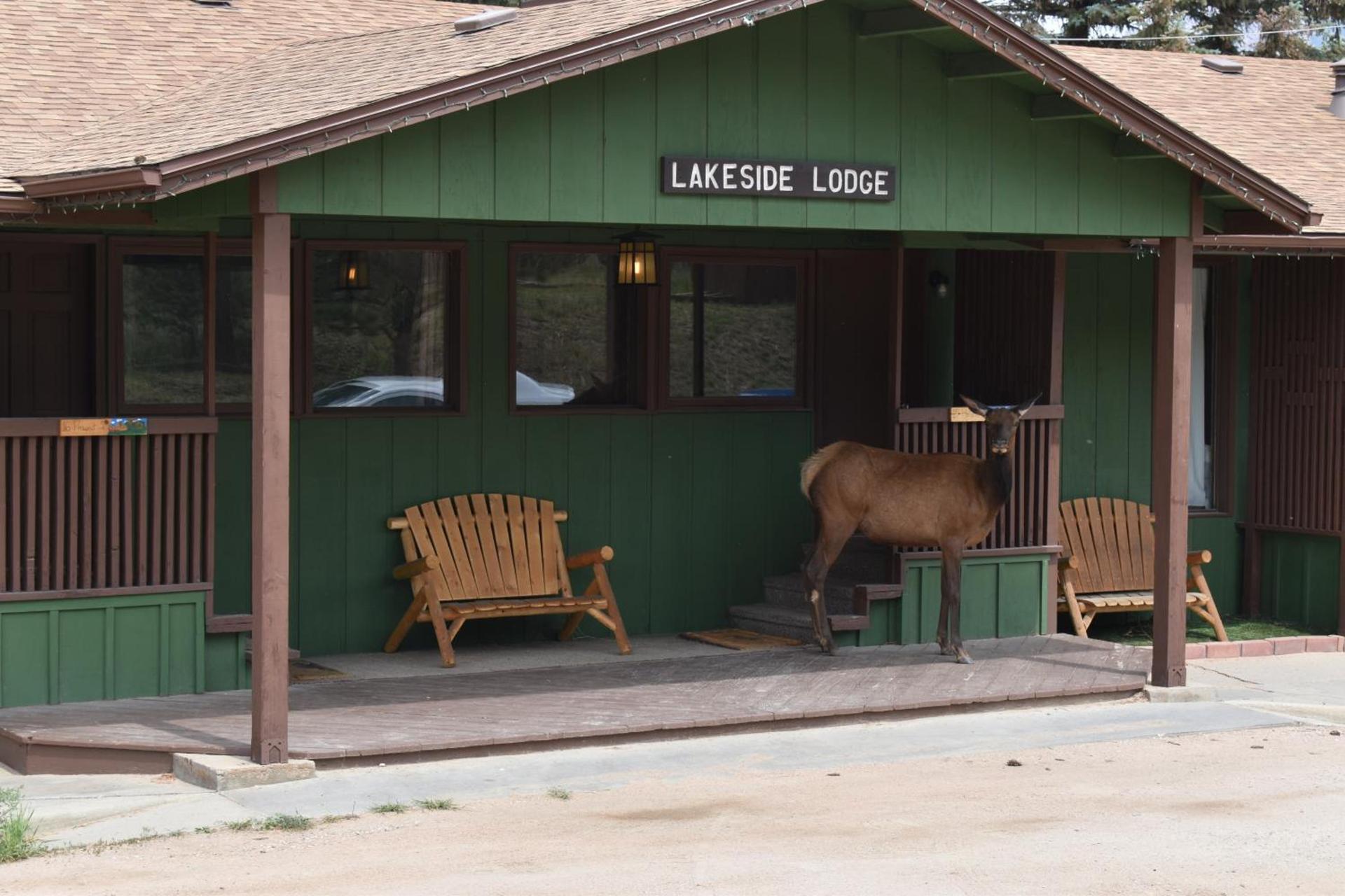 Estes Lake Lodge photo 55