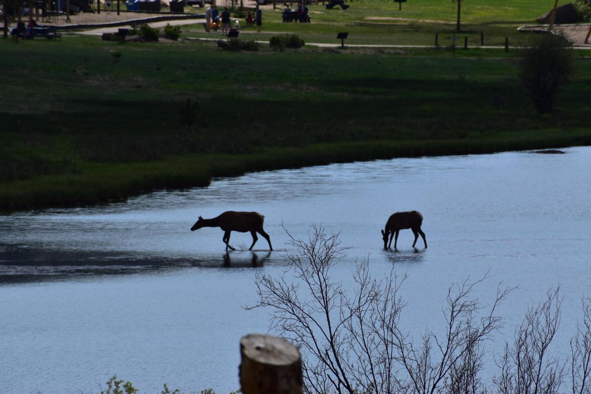 Estes Lake Lodge photo 56