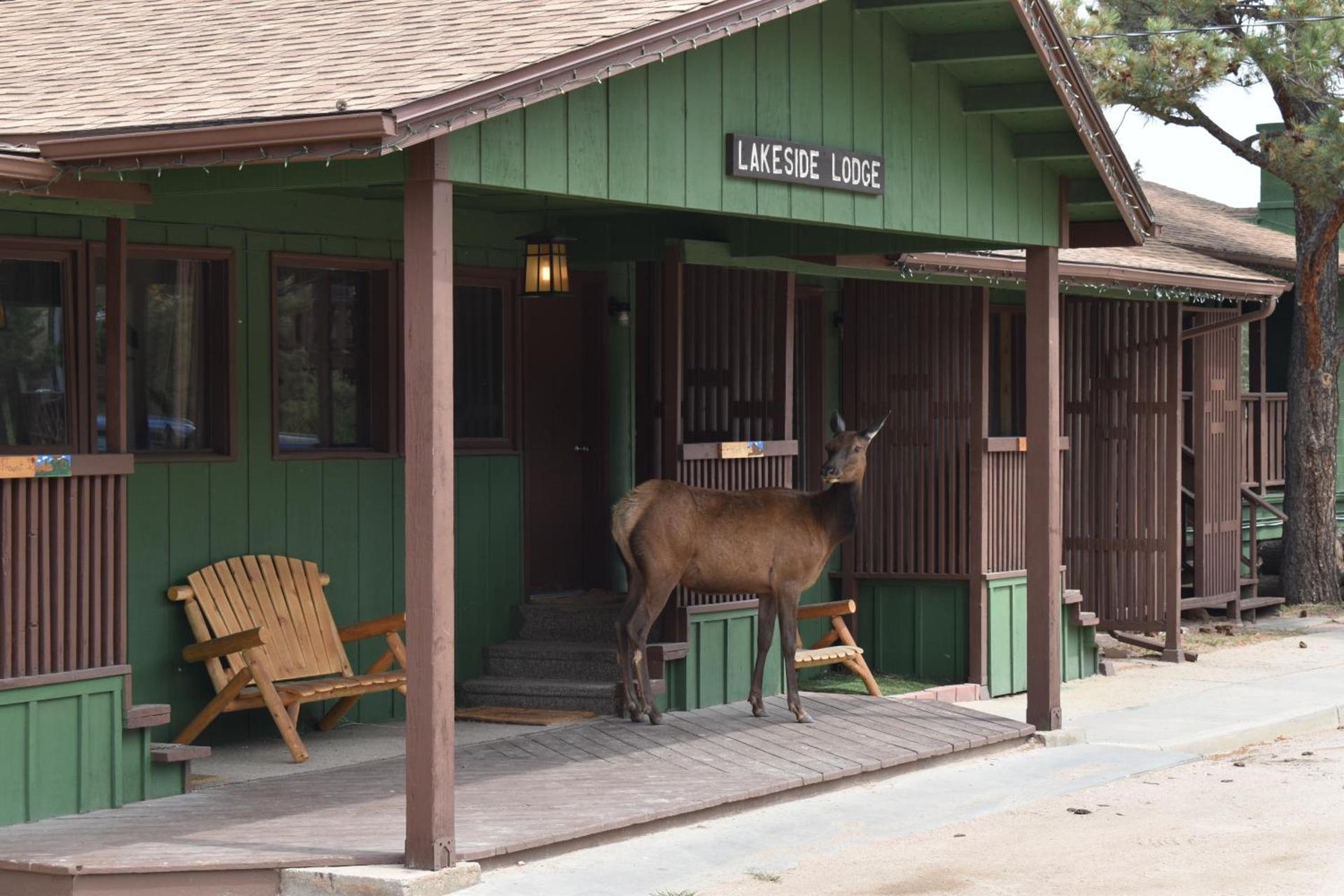 Estes Lake Lodge photo 54