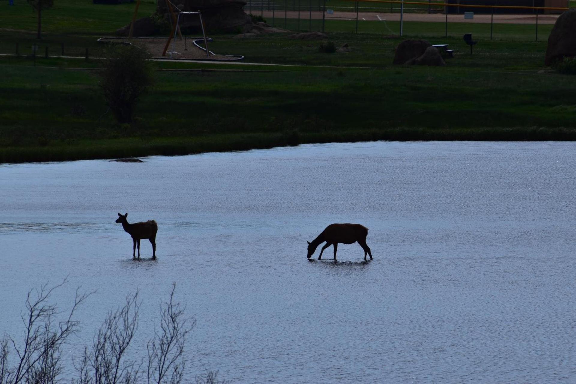Estes Lake Lodge photo 67