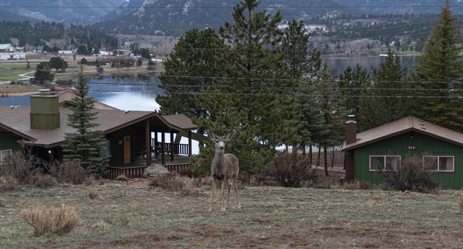 Estes Lake Lodge photo 23