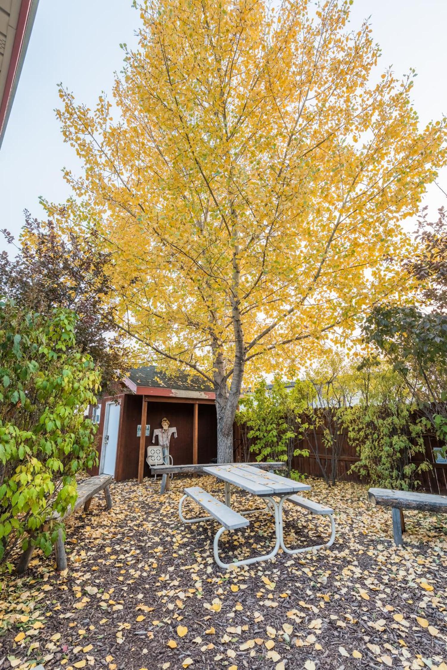 Pinedale Cozy Cabins photo 8