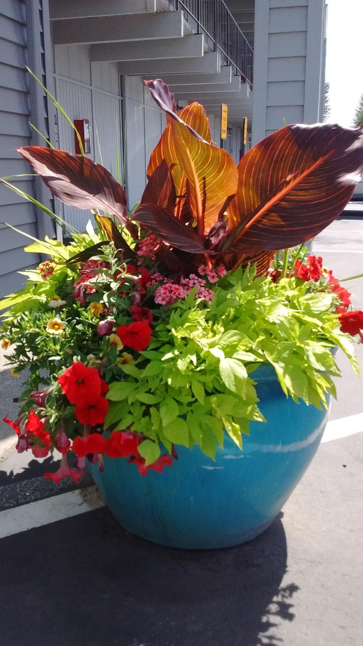Cocusa Motel photo 21