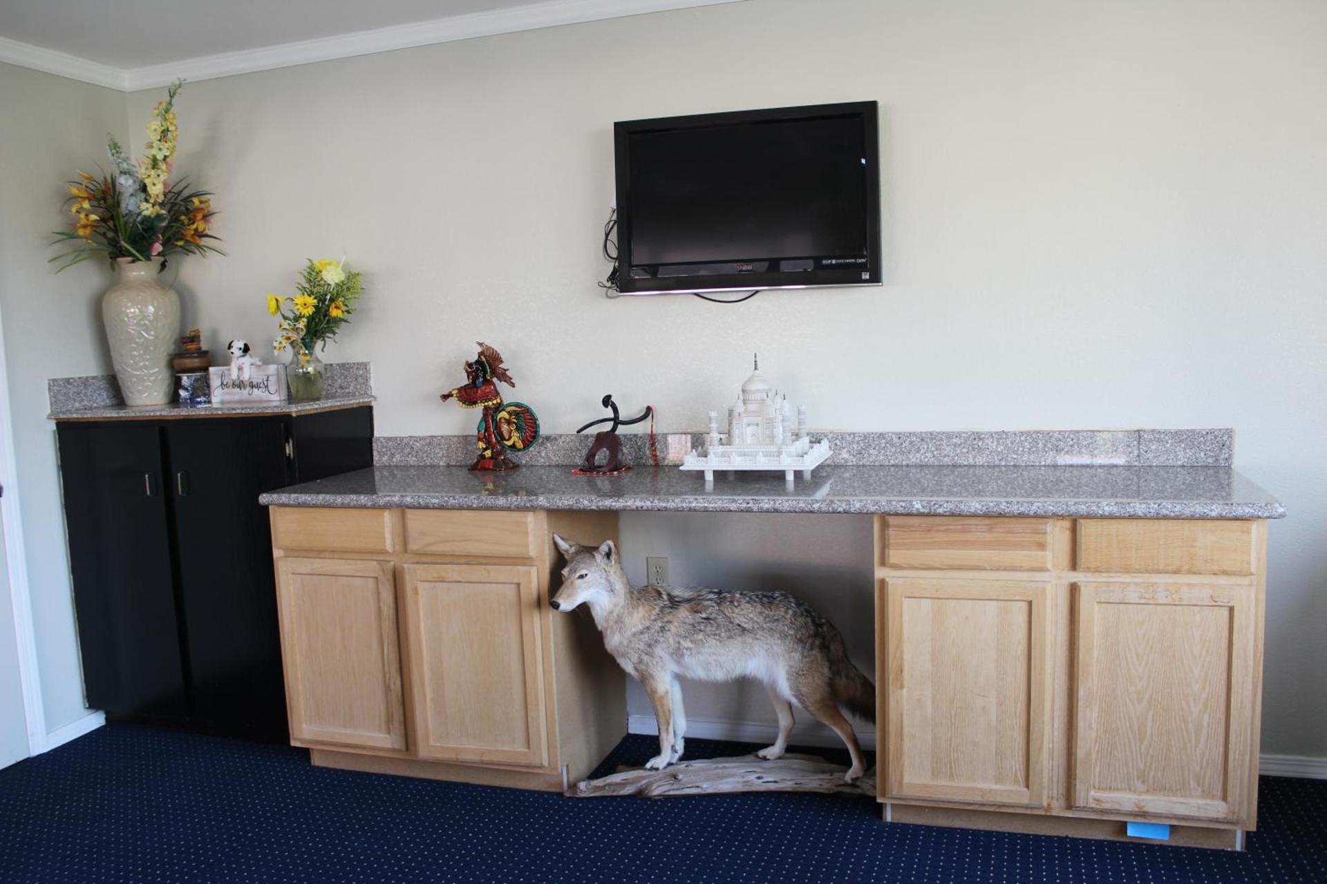 Copa Motel photo 52