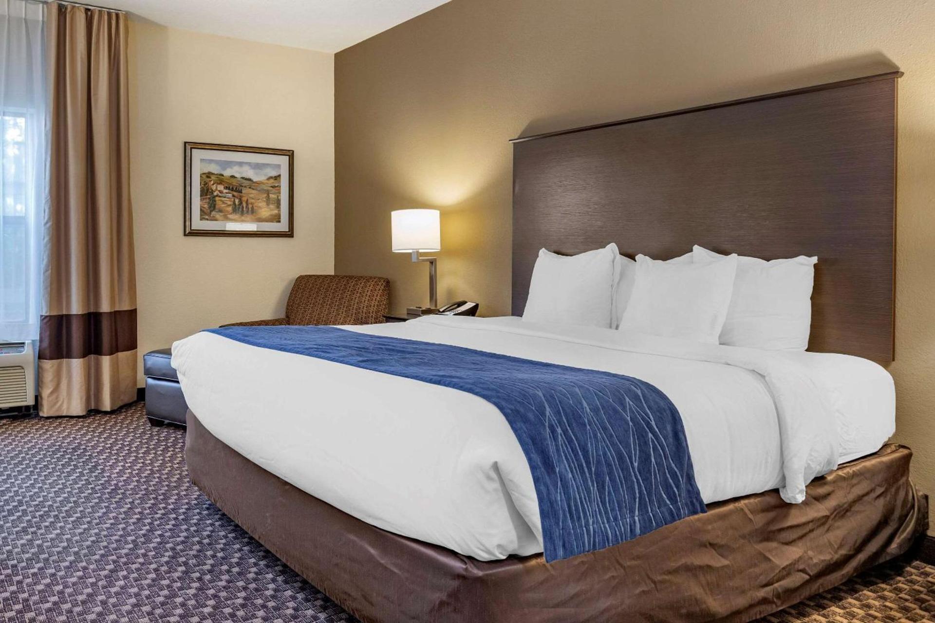 Comfort Inn Wings Stadium photo 2
