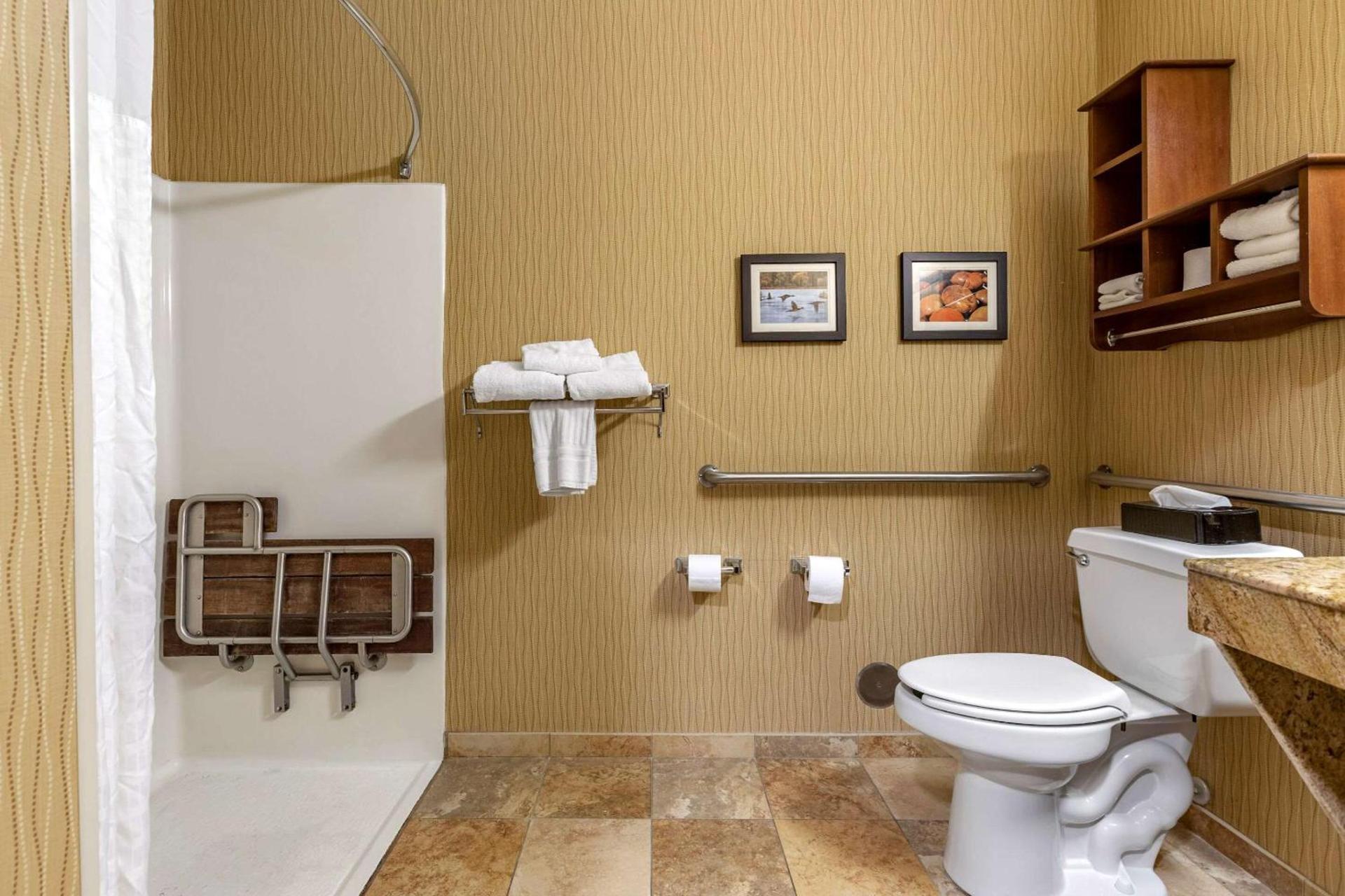 Comfort Inn Wings Stadium photo 5