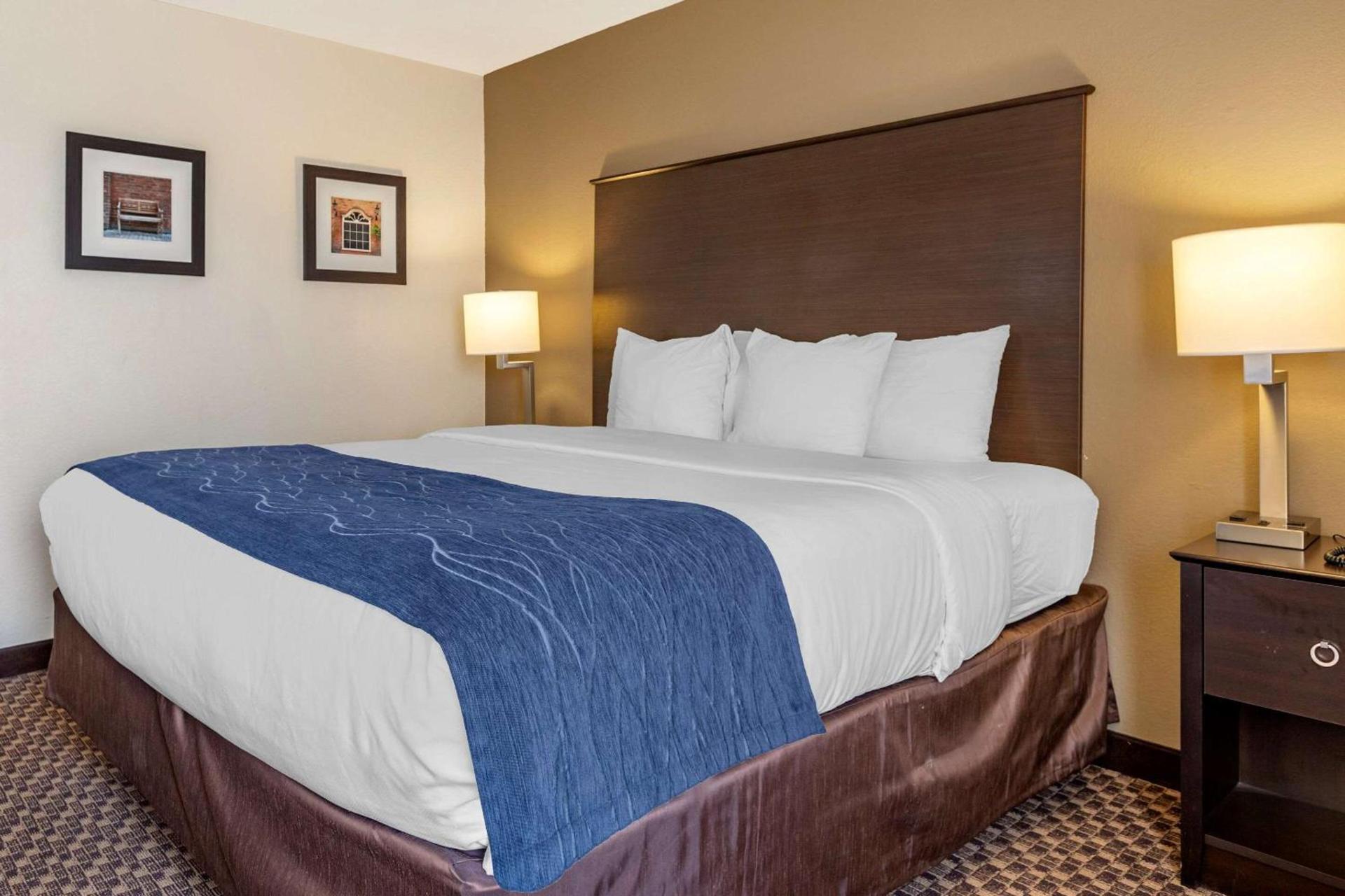 Comfort Inn Wings Stadium photo 9