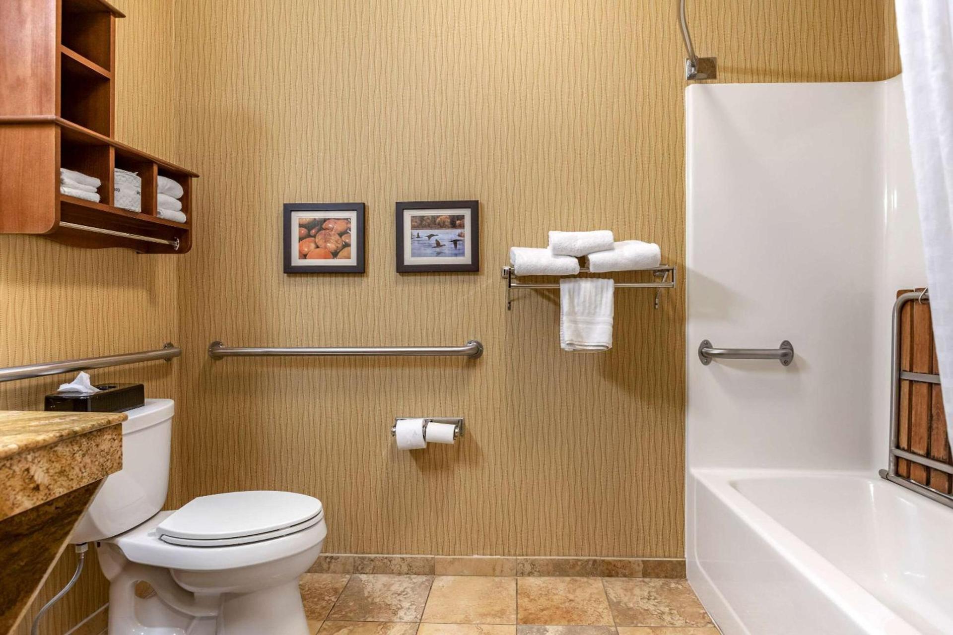 Comfort Inn Wings Stadium photo 8