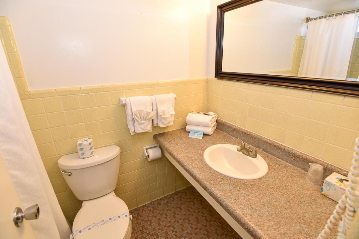 Cove Motel Oceanfront photo 96
