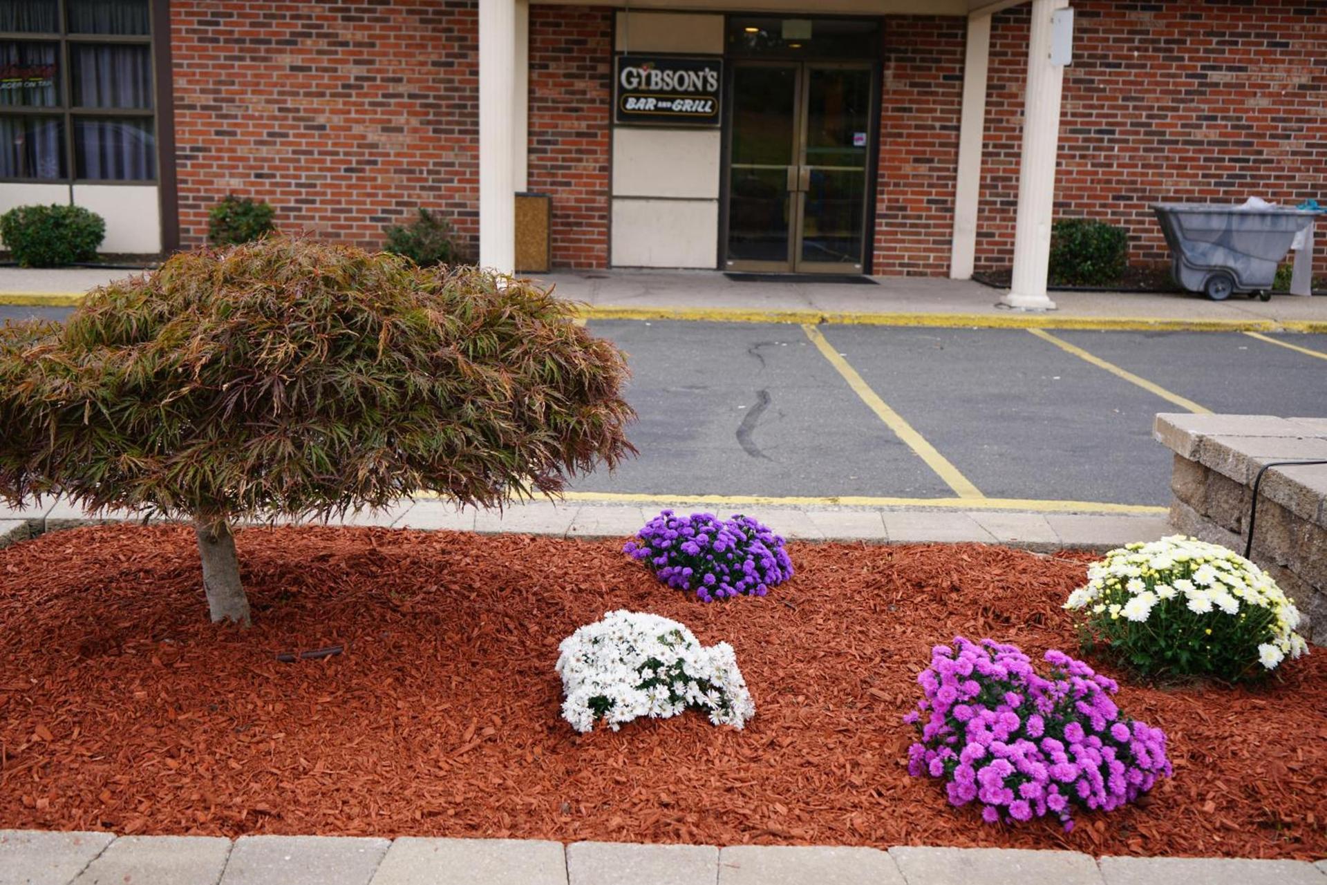 Rodeway Inn & Suites East Windsor photo 15