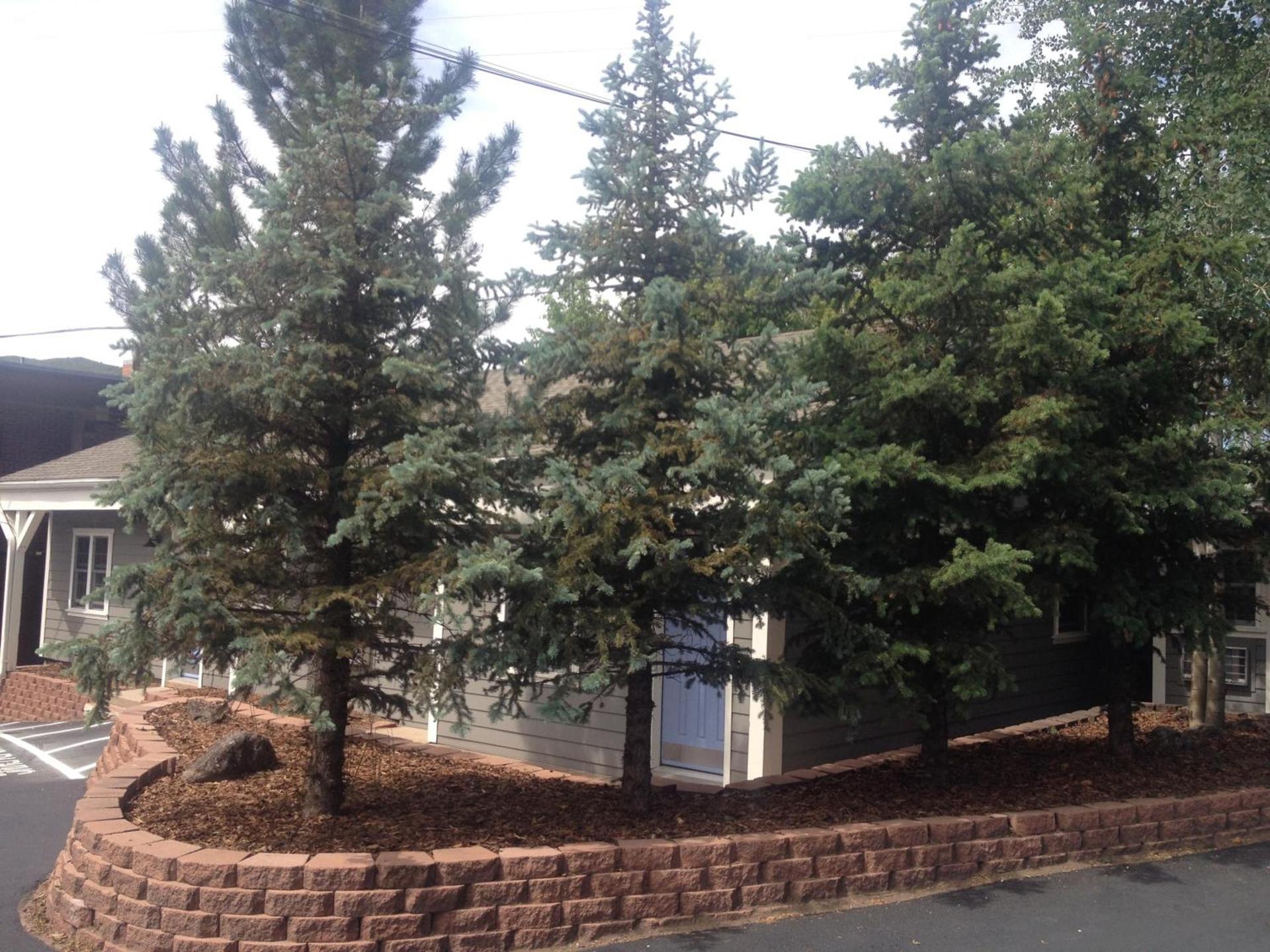 Basalt Mountain Inn photo 10