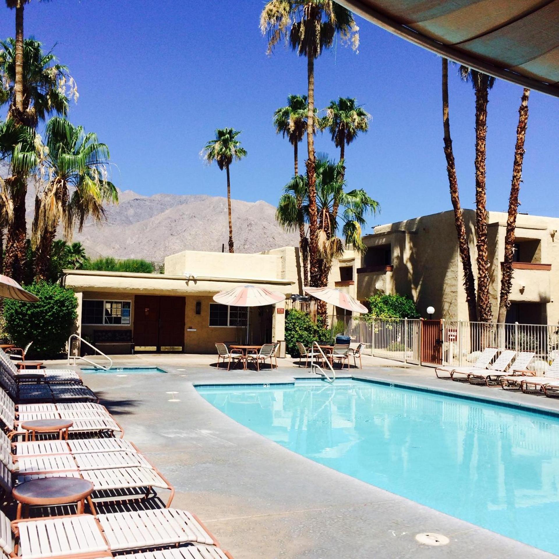 Desert Vacation Villas photo 57