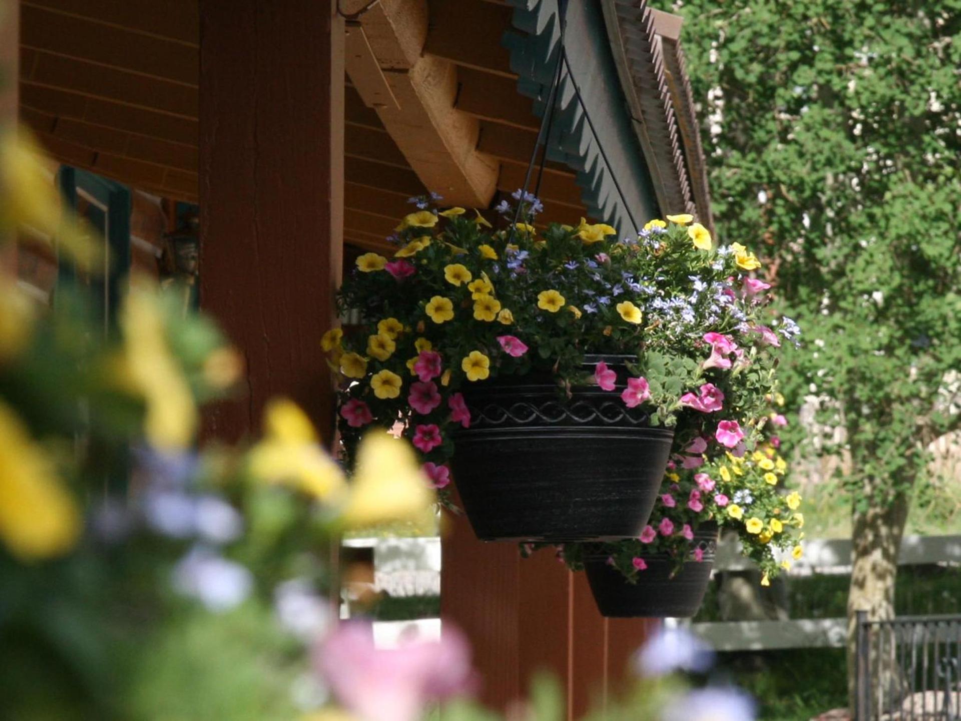 Ouray Inn photo 65