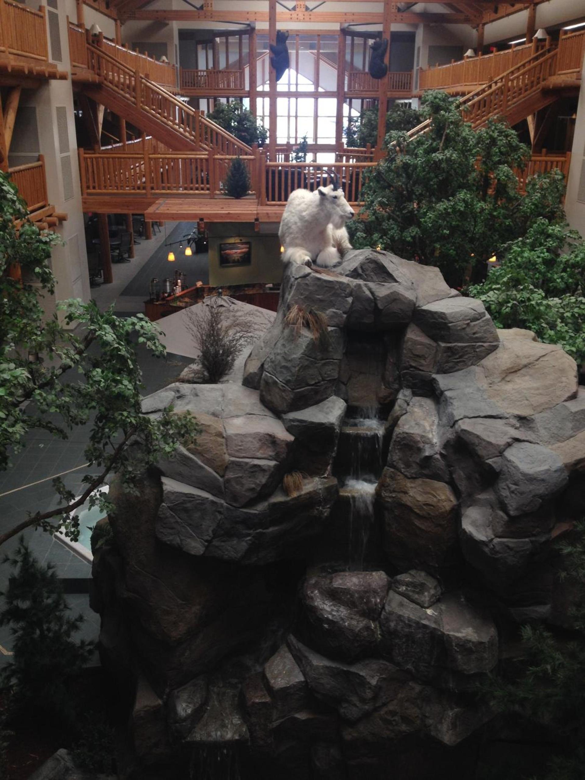 C'mon Inn Missoula photo 13