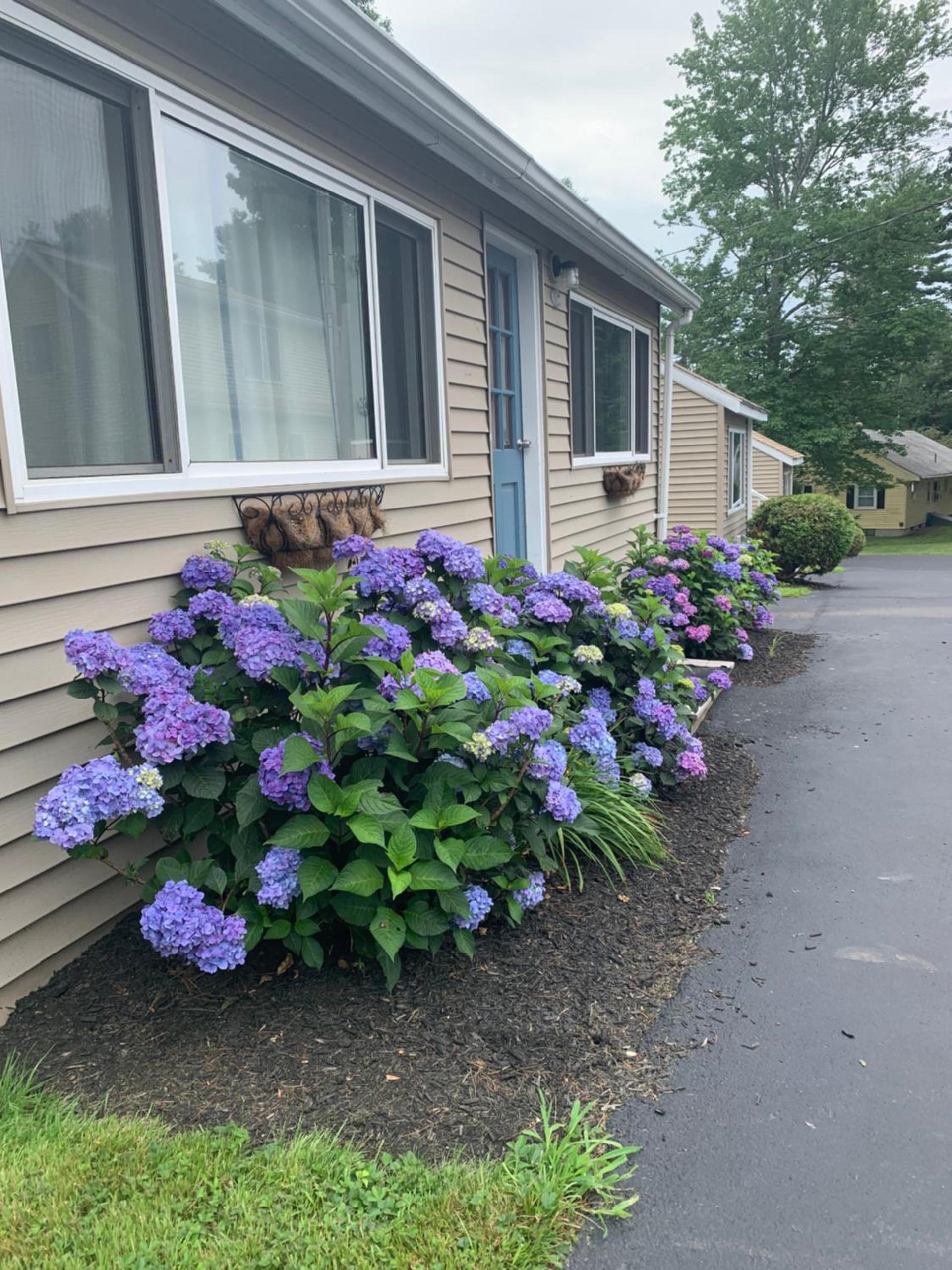 Northeaster Motel photo 7