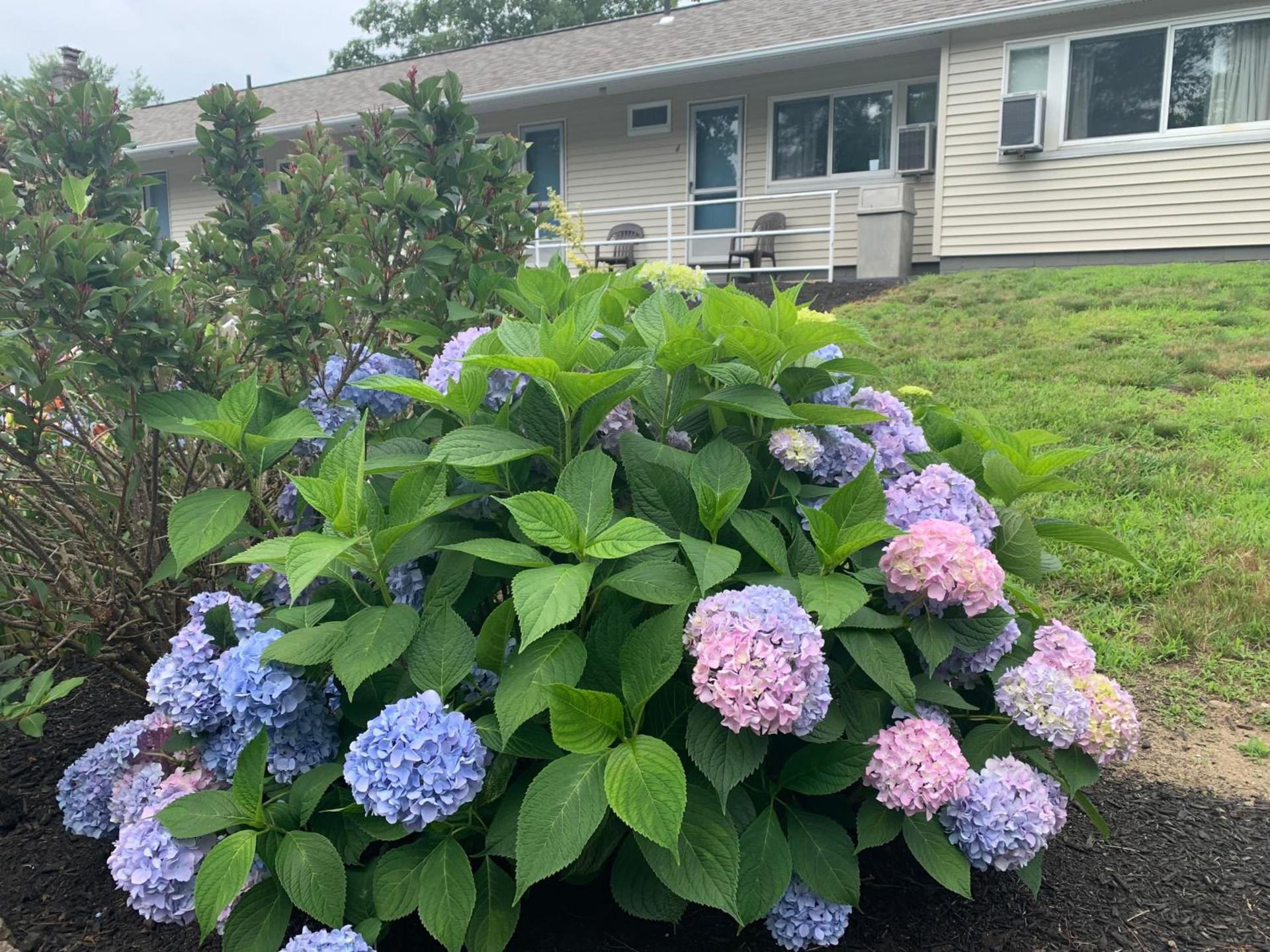 Northeaster Motel photo 6
