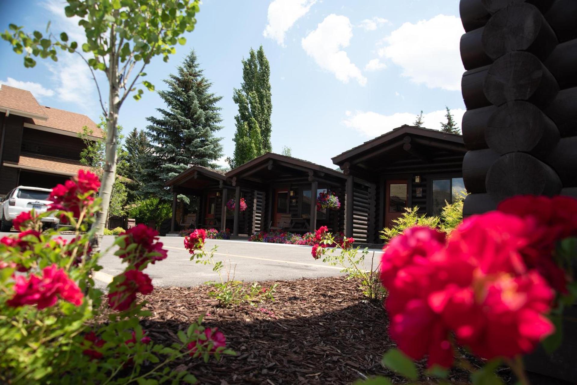 Elk Country Inn photo 68
